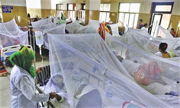 Dengue_patients-hospital22