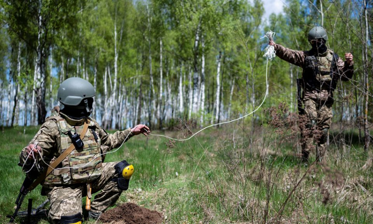 Ukraine-force-Reuters