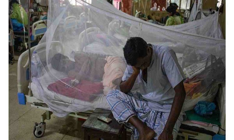 bangladesh-sees-rise-in-dengue-cases