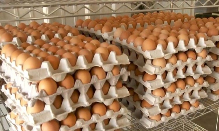 cbsn-fusion-inflation-and-deadly-bird-flu-drive-up-egg-prices-thumbnail-957390-640x360