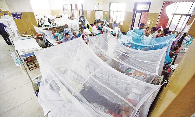 incidents2019-dengue-mehedi-hasan-1577642683247